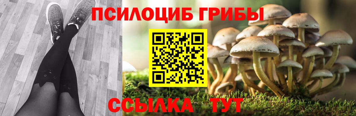 Кирово-Чепецк  Галлюциногенные грибы Cubensis  Вход с VPN 